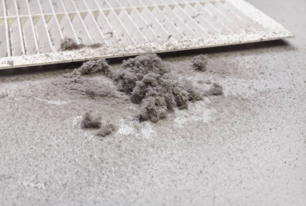 Affordable HVAC Duct Cleaning in Monett, MO